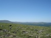 Файл=DSC02429.JPG
Объём=113KB
Размеры=1024x768
Дата=Окт 07, 2008 DSC02429.JPG