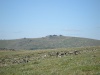 Файл=DSC02442.JPG
Объём=100KB
Размеры=1024x768
Дата=Окт 07, 2008 DSC02442.JPG