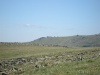 Файл=DSC02443.JPG
Объём=92KB
Размеры=1024x768
Дата=Окт 07, 2008 DSC02443.JPG
