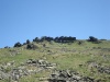 Файл=DSC02453.JPG
Объём=147KB
Размеры=1024x768
Дата=Окт 07, 2008 DSC02453.JPG