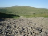 Файл=DSC02457.JPG
Объём=183KB
Размеры=1024x768
Дата=Окт 07, 2008 DSC02457.JPG