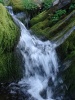 Файл=DSC02461.JPG
Объём=102KB
Размеры=576x768
Дата=Окт 07, 2008 DSC02461.JPG