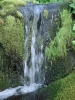 Файл=DSC02462.JPG
Объём=129KB
Размеры=576x768
Дата=Окт 07, 2008 DSC02462.JPG