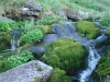 Файл=DSC02463.JPG
Объём=226KB
Размеры=1024x768
Дата=Окт 07, 2008 DSC02463.JPG