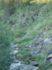 Файл=DSC02466.JPG
Объём=104KB
Размеры=576x768
Дата=Окт 07, 2008 DSC02466.JPG
