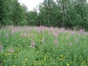 Файл=DSC02476.JPG
Объём=261KB
Размеры=1024x768
Дата=Окт 07, 2008 DSC02476.JPG