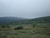 DSC02577.JPG