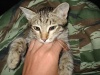 Файл=DSC02614.JPG
Объём=185KB
Размеры=1024x768
Дата=Янв 23, 2009 DSC02614.JPG