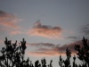 Файл=DSC02683.JPG
Объём=56KB
Размеры=1024x768
Дата=Нояб 26, 2008 DSC02683.JPG