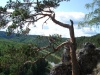 Файл=DSC02820.JPG
Объём=211KB
Размеры=1024x768
Дата=Янв 28, 2009 DSC02820.JPG
