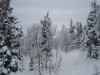 Файл=DSC02913.JPG
Объём=176KB
Размеры=1024x768
Дата=Окт 20, 2008 DSC02913.JPG