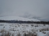 Файл=DSC02920.JPG
Объём=86KB
Размеры=1024x768
Дата=Окт 20, 2008 DSC02920.JPG
