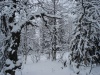 Файл=DSC02925.JPG
Объём=241KB
Размеры=1024x768
Дата=Окт 20, 2008 DSC02925.JPG