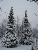Файл=DSC02930.JPG
Объём=97KB
Размеры=576x768
Дата=Окт 20, 2008 DSC02930.JPG