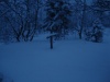 Файл=DSC02946.JPG
Объём=77KB
Размеры=1024x768
Дата=Окт 20, 2008 DSC02946.JPG
