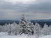 Файл=DSC02963.JPG
Объём=126KB
Размеры=1024x768
Дата=Окт 20, 2008 DSC02963.JPG