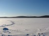 Файл=DSC03445.JPG
Объём=82KB
Размеры=1024x768
Дата=Фев 04, 2008 DSC03445.JPG