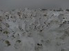 Файл=IMG_6010.JPG
Объём=93KB
Размеры=1024x768
Дата=Фев 07, 2008 IMG_6010.JPG