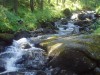 P1010006.JPG