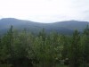 P1010007.JPG