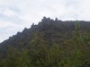 P1010017.JPG