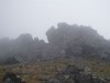 P1010029.JPG