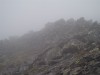 P1010032.JPG