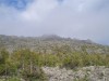 P1010045.JPG