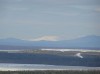 Файл=P4123530.JPG
Объём=57KB
Размеры=1024x766
Дата=Май 16, 2007 P4123530.JPG