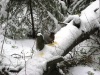 Файл=IMG_3115.JPG
Объём=2366KB
Размеры=3072x2304
Дата=Нояб 22, 2008 IMG_3115.JPG