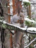 Файл=IMG_3129.JPG
Объём=1823KB
Размеры=2304x3072
Дата=Нояб 22, 2008 IMG_3129.JPG