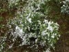 DSC02283_1.jpg