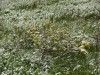 DSC02284_1.jpg
