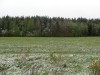 DSC02285_1.jpg