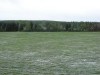 DSC02294_1.jpg