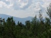 DSC02387_1.jpg