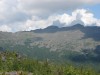 DSC02390_1.jpg