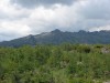 DSC02391_1.jpg