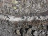 DSC02396_1.jpg