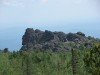 DSC02409_1.jpg