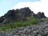DSC02412_1.jpg