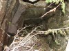 DSC02425_1.jpg