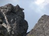 DSC02428_1.jpg