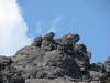 DSC02429_1.jpg