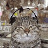 Файл=01lv8000.gif
Объём=239KB
Размеры=280x280
Дата=Дек 17, 2007 01lv8000.gif