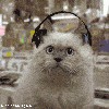 Файл=02kl9000.gif
Объём=198KB
Размеры=280x280
Дата=Дек 17, 2007 02kl9000.gif