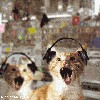 Файл=03dx9000.gif
Объём=71KB
Размеры=280x280
Дата=Дек 17, 2007 03dx9000.gif