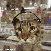 Файл=04lh7000.gif
Объём=115KB
Размеры=280x280
Дата=Дек 17, 2007 04lh7000.gif
