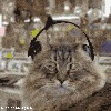 Файл=06jp2000.gif
Объём=246KB
Размеры=280x280
Дата=Дек 17, 2007 06jp2000.gif
