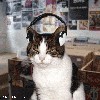 Файл=14kq8000.gif
Объём=235KB
Размеры=280x280
Дата=Дек 17, 2007 14kq8000.gif
